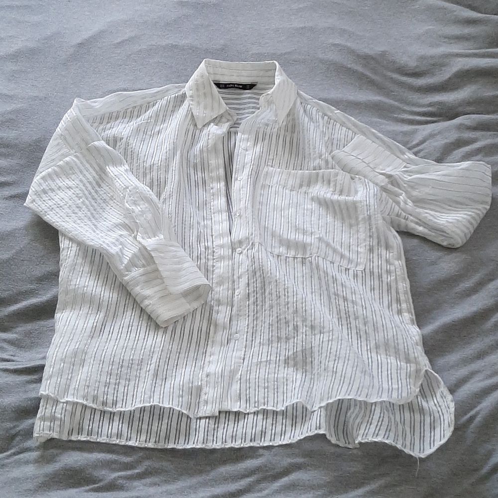 Sheer Dress Shirt